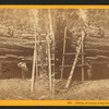 Cutting off section of big tree, (78 ft. circum.) Frezno [sic]Co.