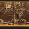 Cutting off section of big tree, (78 ft. circum.) Frezno [sic]Co.