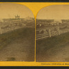 Centennial celebration at Buxton, Me., Aug. 14, 1872.