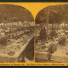 Centennial celebration at Buxton, Me. The tables before dinner, 1200 feet long. Aug. 14, 1872.