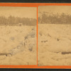Hallowell, Maine, Feb. 20, 1879.