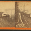 Derailed train.