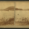 Camden harbor.