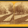 Dr. Torsey's residence and street view.