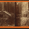 The home of the trapper.