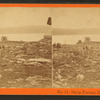 Sheep pasture, Dear [Deer] Island.