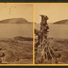 Bald Porcupine Island, (or Fremont's Island). Mt. Desert, Me.