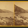 Valley Cove, Somes' Sound.