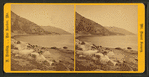 Valley Cove, Somes' Sound.