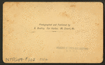 Sea Side House, Mt. Desert, Me.