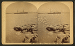 Steamship Cimbria, S.W. Harbor, Mt. Desert, Me.