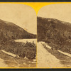 Western view of Hadlock's Pond.