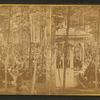 Speakers, audience at Old Orchard camp ground.