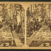 Catch displayed on the table.