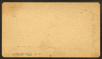 Judge Whittier's Camp.