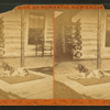 A dog lying outside a log cabin.