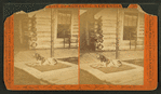 A dog lying outside a log cabin.