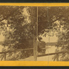 Up river from [Elm Street], Skowhegan, Me.