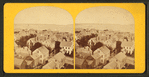 Portland Harbor, from Observatory (2).