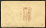 Chestnut Street M.E. [Methodist Episcopal] Church.