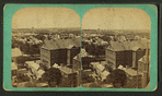 View from dome of City Hall, looking west by south.