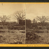 Elm trees on Locust Street, Catholic Church in distance.