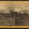 Elm trees on Locust Street, Catholic Church in distance.