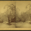 Storer Street, from Elm [Street], Saco.