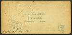 Christmas 1868. [View of dwellings.]