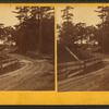 Free Bridge Road.