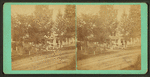 Streets and houses of Brunswick.