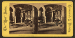 Prof. Packard in College library.