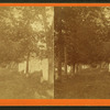 Old German graveyard.
