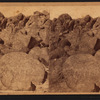 View of rocks with carved images, in the desert