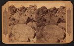 View of rocks with carved images, in the desert
