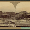 Bigelow log pile.