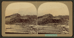 Bigelow log pile.