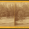 Saco River scenery, Hiram, Me.