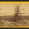 Lovells Pond.