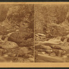 Austin Stream.