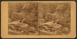 Austin Stream.