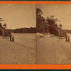 Beach from old landing, Wesleyan Grove. [?]