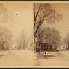 South Street, from Elm [Street], Bidd[eford].