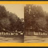 Dr. G.B. Cloughs [standing in front of fences by the horse-drawn cart with a coacher].