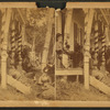 People, posed on the porch of their cottage, South Orrington.
