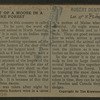 Flashlight of wild moose in the Maine forest.