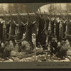 Seven and one hanging. Team in the woods for more.