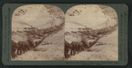 Miners and packers climbing the "Golden Stair" trail, Chilkoot Pass, Alaska