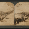Miners and packers climbing the "Golden Stair" trail, Chilkoot Pass, Alaska