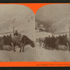 Citizens of Ohio en route to the Klondike, Dyea Trail, Alaska